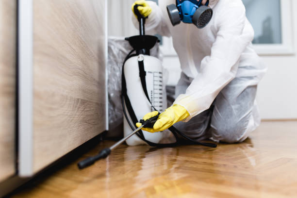 Best Pest Prevention Services  in Brilliant, AL