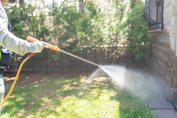 Professional Pest Control in Brilliant, AL