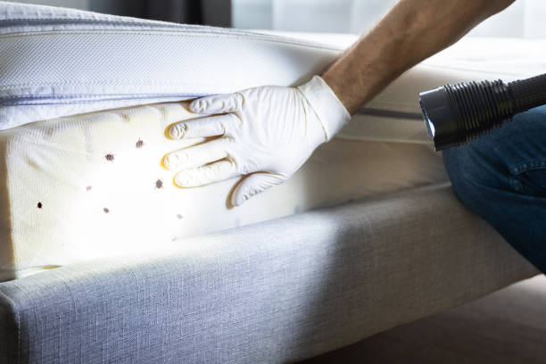 Best Best Pest Control Companies  in Brilliant, AL