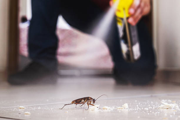 Pest Prevention Services in Brilliant, AL