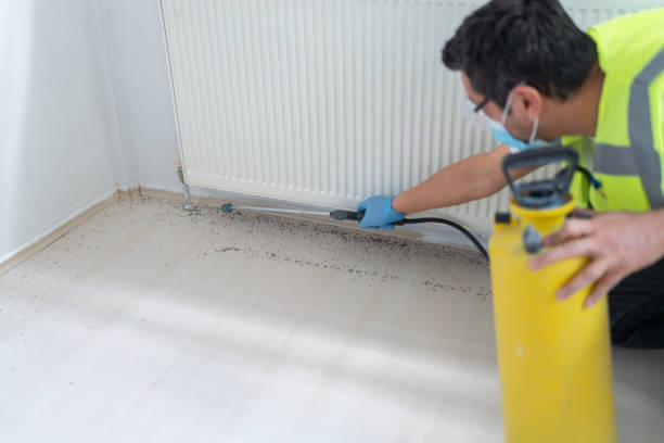 Best Affordable Exterminators  in Brilliant, AL