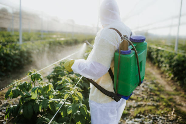 Best Mosquito Control Services  in Brilliant, AL
